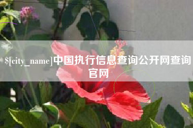 辽源中国执行信息查询公开网查询官网