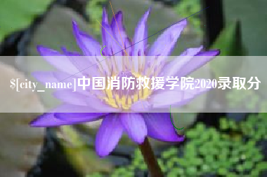 辽源中国消防救援学院2020录取分