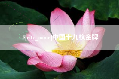 辽源中国十九枚金牌