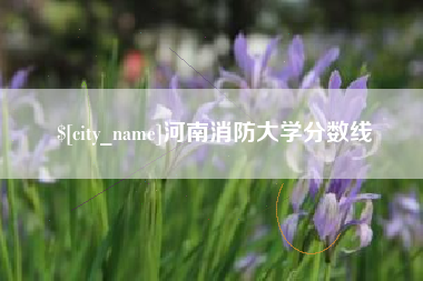辽源河南消防大学分数线