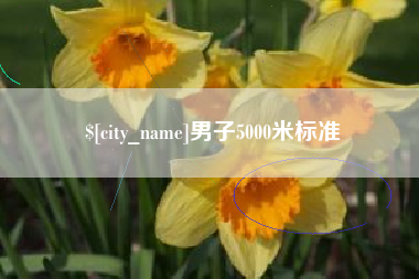 辽源男子5000米标准