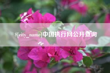 辽源中国执行网公开查询