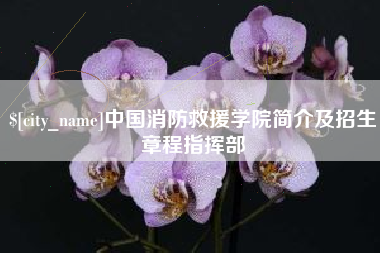 辽源中国消防救援学院简介及招生章程指挥部