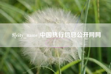 辽源中国执行信息公开网网