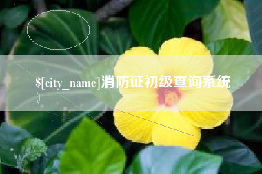 辽源消防证初级查询系统
