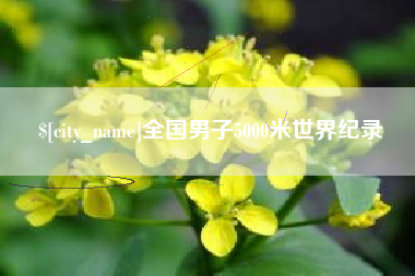 辽源全国男子5000米世界纪录