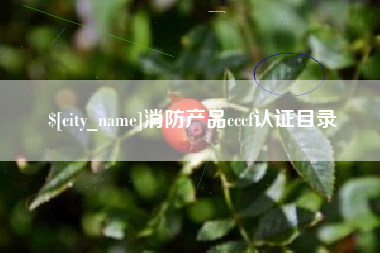 辽源消防产品cccf认证目录