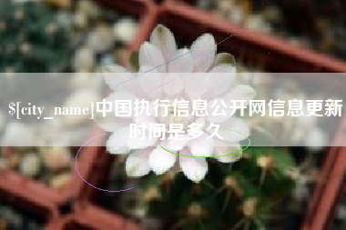 辽源中国执行信息公开网信息更新时间是多久