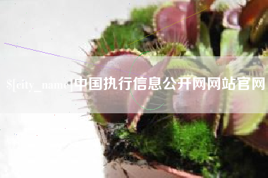 辽源中国执行信息公开网网站官网
