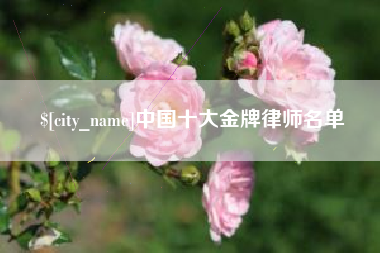 辽源中国十大金牌律师名单