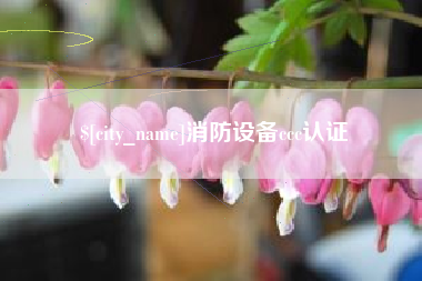 辽源消防设备ccc认证