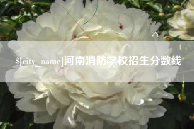 辽源河南消防学校招生分数线