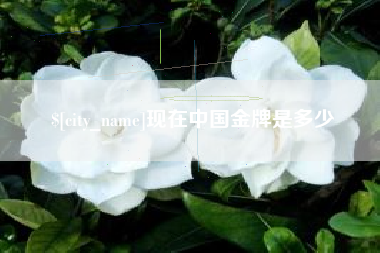 辽源现在中国金牌是多少