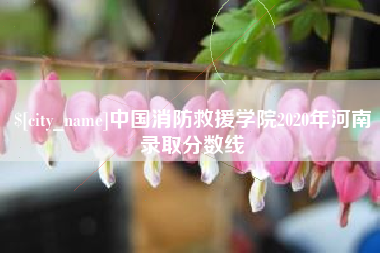 辽源中国消防救援学院2020年河南录取分数线