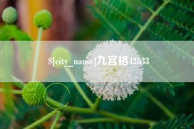 辽源九宫格42633