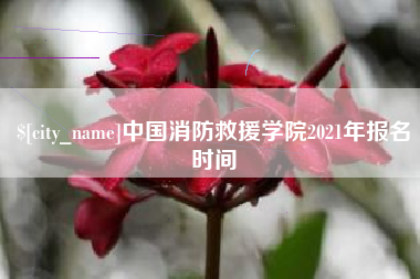辽源中国消防救援学院2021年报名时间