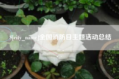辽源全国消防日主题活动总结