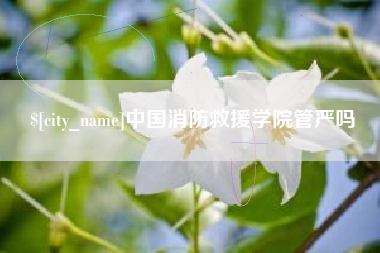 辽源中国消防救援学院管严吗