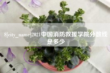 辽源2021中国消防救援学院分数线是多少
