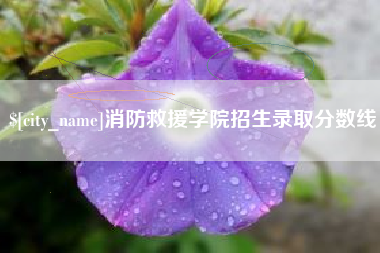 辽源消防救援学院招生录取分数线