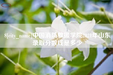 辽源中国消防救援学院2021年山东录取分数线是多少
