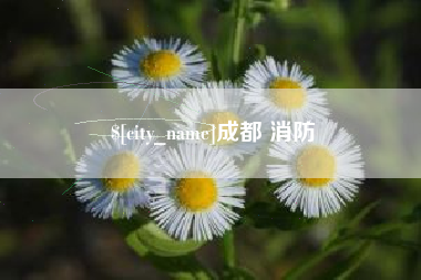 辽源成都 消防