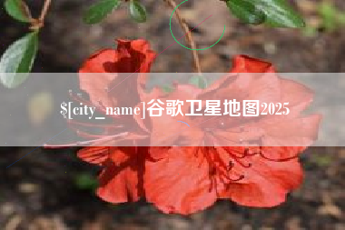 辽源谷歌卫星地图2025