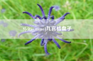 辽源九宫格盘子