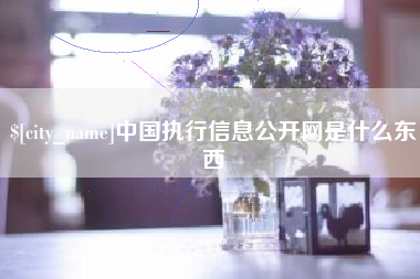 辽源中国执行信息公开网是什么东西