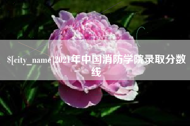 辽源2021年中国消防学院录取分数线