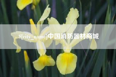 辽源中国消防器材商城