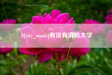 辽源有没有消防大学