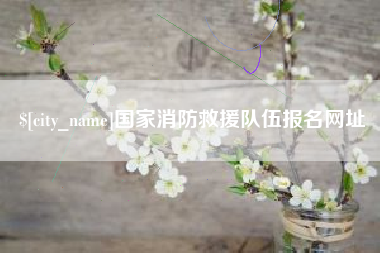 辽源国家消防救援队伍报名网址