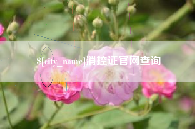 辽源消控证官网查询