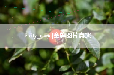 辽源金牌图片真实