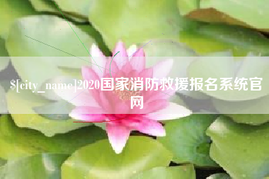 辽源2020国家消防救援报名系统官网