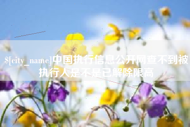 辽源中国执行信息公开网查不到被执行人是不是已解除限高
