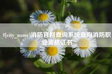 辽源消防官网查询系统查询消防职业资格证书