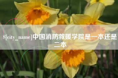 辽源中国消防救援学院是一本还是二本