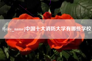 辽源中国十大消防大学有哪些学校