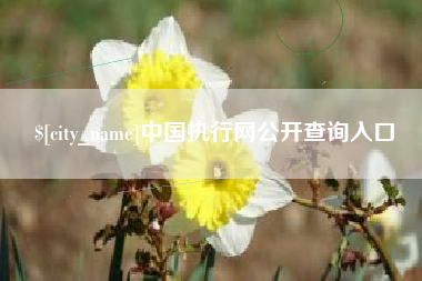 辽源中国执行网公开查询入口