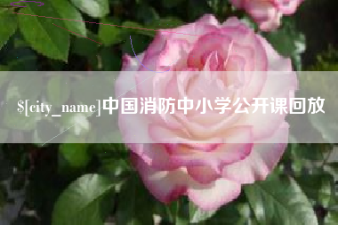 辽源中国消防中小学公开课回放
