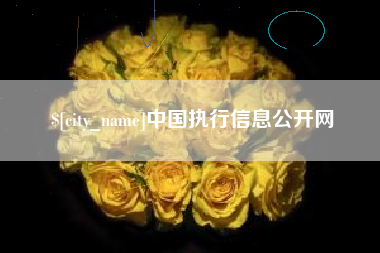 辽源中国执行信息公开网