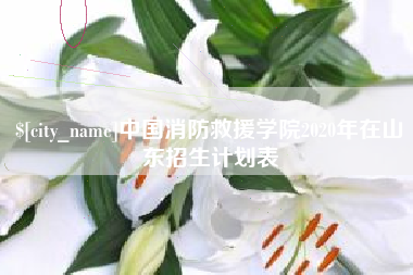 辽源中国消防救援学院2020年在山东招生计划表