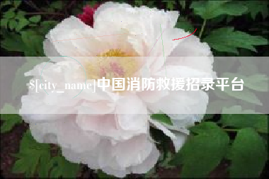 辽源中国消防救援招录平台