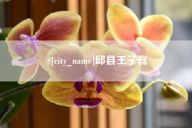 辽源邱县王子磊
