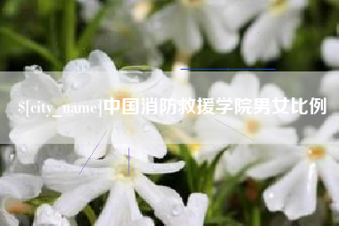 辽源中国消防救援学院男女比例