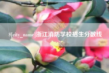 辽源浙江消防学校招生分数线