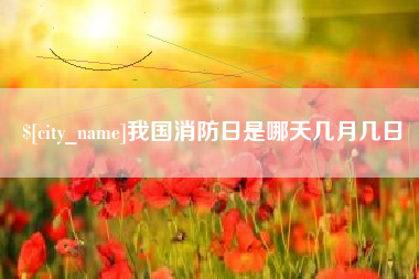辽源我国消防日是哪天几月几日