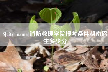 辽源消防救援学院报考条件湖南招生多少分